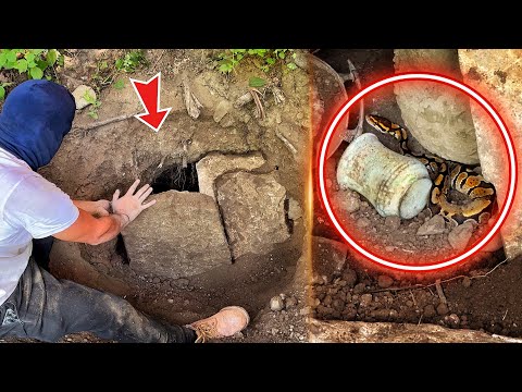 Видео: Мы нашли сокровище, все разбежались❗️ [ Настоящее сокровище, охраняемое змеей ]