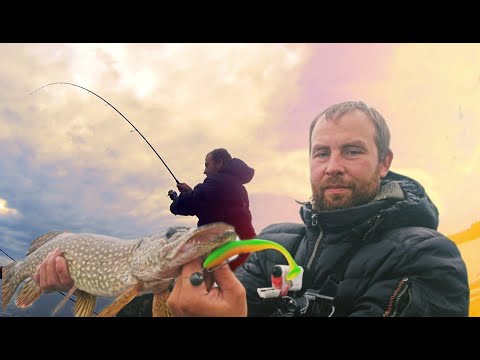 Видео: Чебоксарка Рыбалка в закоряженных заводях