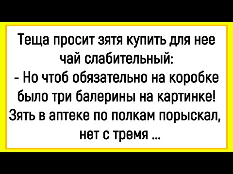 Видео: 🤡Как Тёща Зятя Просила Чай Ей Слабительный Купить! Сборник Смешных Анекдотов! Юмор! Позитив!