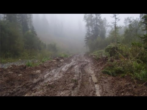 Видео: Сделано заявление что Усольцевы связаны с запрещенной сектой миллиардные обороты 