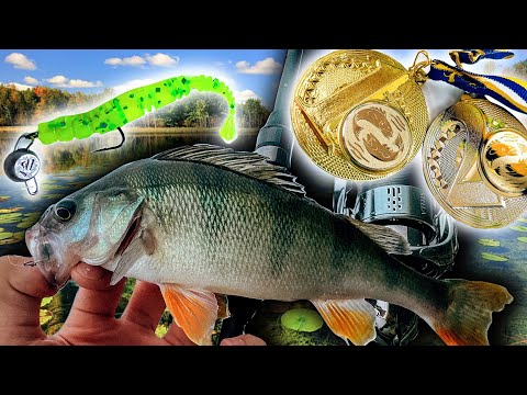 Видео: ОКУНЬ вартістю в 5000 ГРИВЕНЬ | Літня риболовля