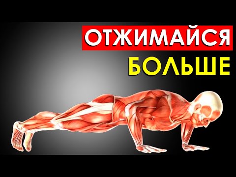 Видео: Как Увеличить Количество Отжиманий? Этот Способ Удвоит Твои Отжимания