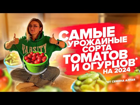 Видео: САМЫЕ УРОЖАЙНЫЕ ОГУРЦЫ И ТОМАТЫ от Семена Алтая