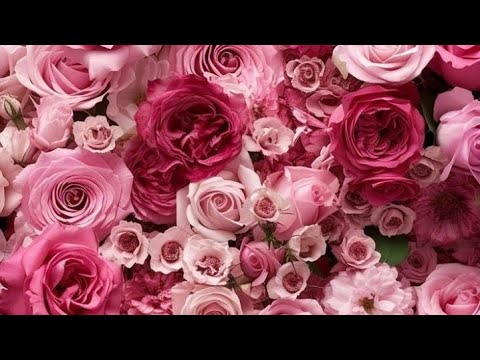 Видео: ❤️Таро Откровен разговор с нея❤️🍷Какво мисли за теб?Какво чувства към теб?🌹🌹Първа част❤️🌹(2част ⬇️)