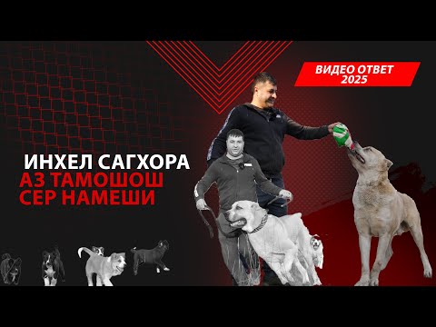 Видео: ИНХЕЛ САГХОРА АЗ ТАМОШОШ СЕР НАМЕШИ