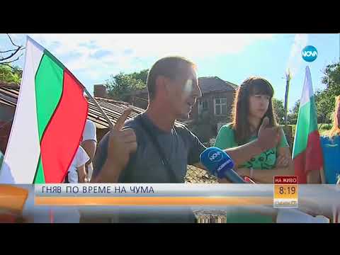 Видео: ГНЯВ ПО ВРЕМЕ НА ЧУМА: Умъртвиха над 3000 животни в засегнатите райони