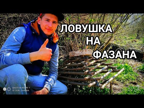 Видео: СТАВЛЮ ЛОВУШКУ ПИРАМИДУ НА ФАЗАНА!!!СБЕЖАЛ ФАЗАН!!!