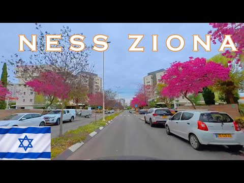 Видео: NESS ZIONA  CITY DRIVE  ISRAEL 2025 Нес-Циона