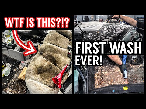 Видео: Можно ли спасти этот АВАРИЙНЫЙ Hyundai?! Первая мойка с момента покупки | Безумная реставрация де...