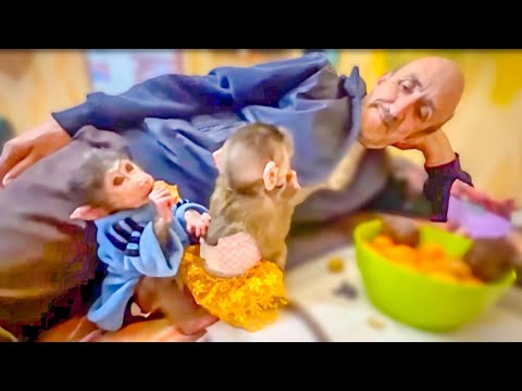 Видео: Папа пришел с работы  Маня и Стенка РАДЫ что могут пошалить и покапризничать)))