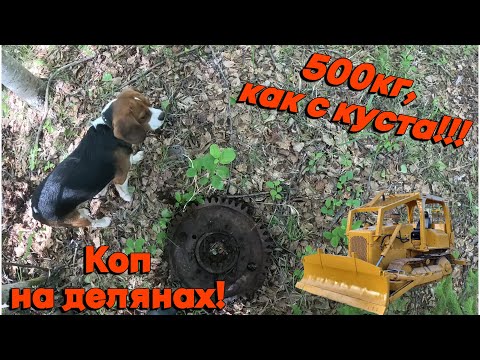 Видео: 500кг, как с куста! Коп металла в лесу.Богатая лесовозная деляна. XP ORX