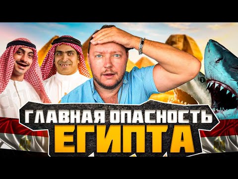 Видео: ⚠️ Главная ОПАСНОСТЬ в Египте — и это не акула...