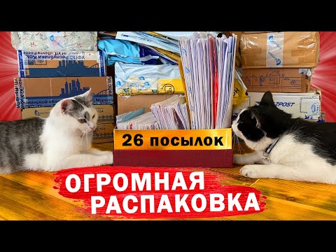 Видео: 26 ПОСЫЛОК от ПОДПИСЧИКОВ! ЧТО в КОРОБКАХ? **ОГРОМНАЯ РАСПАКОВКА**
