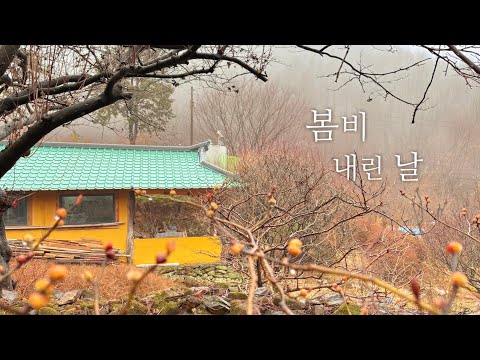 Видео: Весна пришла 🐸🌼 Маленькая и простая жизнь в горах.