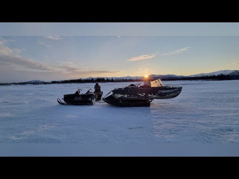 Видео: Гусь-птеродактиль / Охота на гуся весна 2022 / часть 3