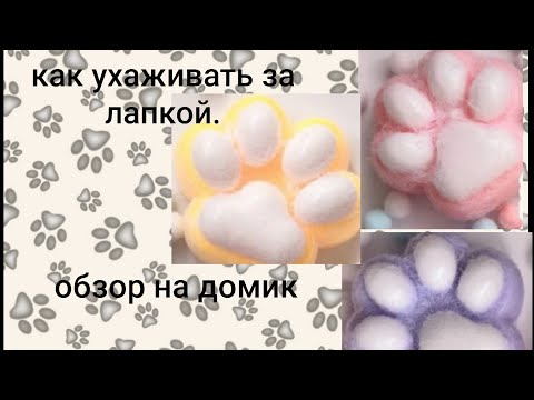 Видео: как правильно ухаживать за лапкой 🐾