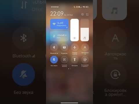 Видео: богар дилес келел