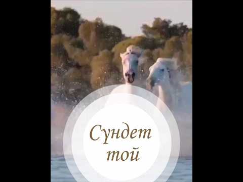 Видео: Сүндет той.Сундет той.Тойға шақыру.Тойга шакыру #сундеттой #сүндеттой #тойғашақыру #тойгашакыру #той