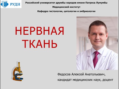 Видео: НЕРВНАЯ ТКАНЬ (ЛЕКЦИЯ ПО ГИСТОЛОГИИ)
