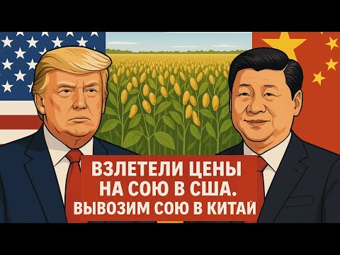 Видео: Соя подорожала, работы стало больше.