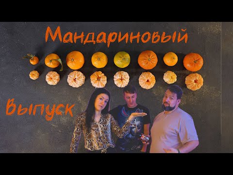 Видео: Мандариновый выпуск