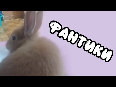 Видео: Фантики