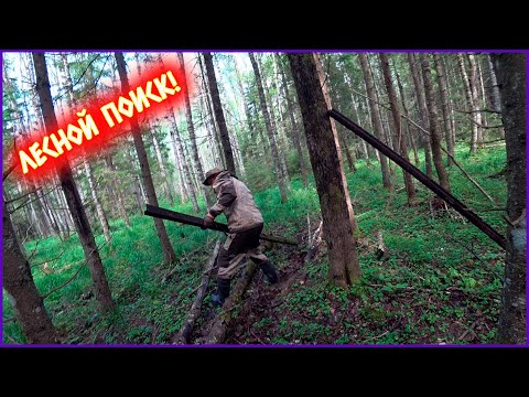 Видео: ИЩЕМ И НАХОДИМ МЕТАЛЛОЛОМ В ЛЕСУ!