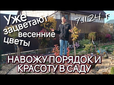 Видео: ЭТО ОБЯЗАТЕЛЬНО ДЕЛАЮ ОСЕНЬЮ! Навожу порядок и красоту в саду