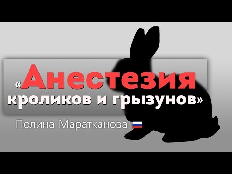 Видео: Анестезия кроликов и грызунов