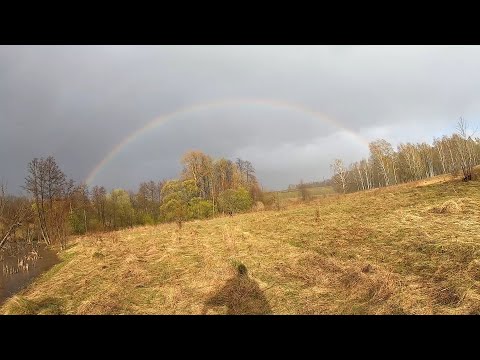 Видео: Интроник...  Чуть лучше MFD...? Реальный коп