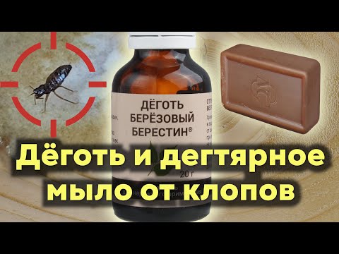 Видео: Клопы гибнут ЗА ПАРУ СЕКУНД! Берёзовый дёготь и дегтярное мыло - МОЩНОЕ НАРОДНОЕ СРЕДСТВО!