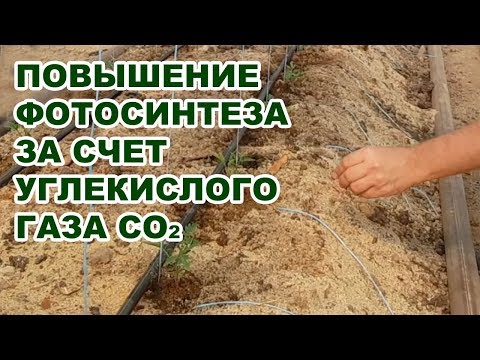 Видео: Повышение фотосинтеза в осенне-зимний период за счет углекислого газа CO2 в теплице (13-07-2018)