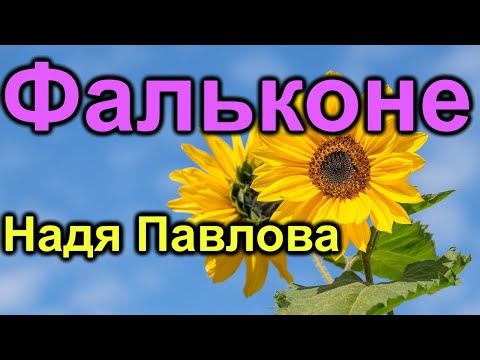 Видео: Фальконе. Ну и ну