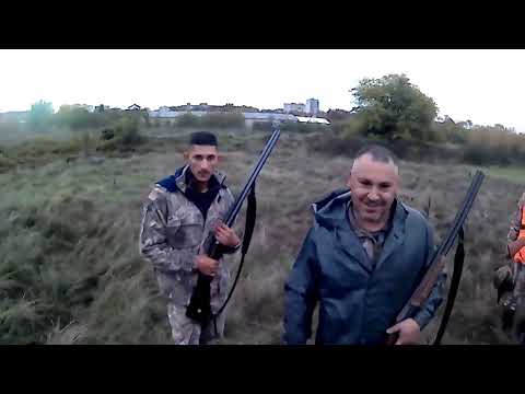 Видео: Лов на фазан ( в дъжда) с Английски сетер Рая. 26.10.2025г. 