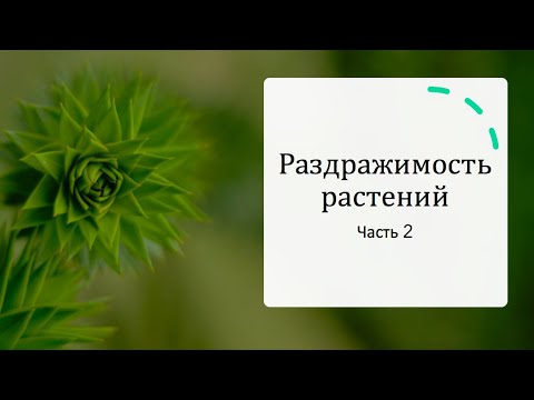 Видео: Раздражимость Растений (часть 2)