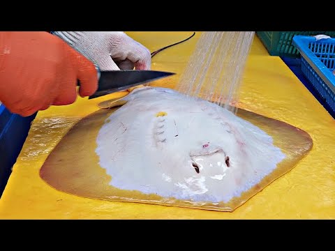 Видео: скат, сашими из ската, стрижка ската, стрижка ската