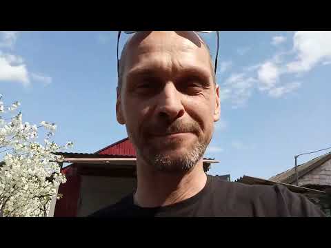 Видео: ПЛАНЕТА. Брать или Убрать?