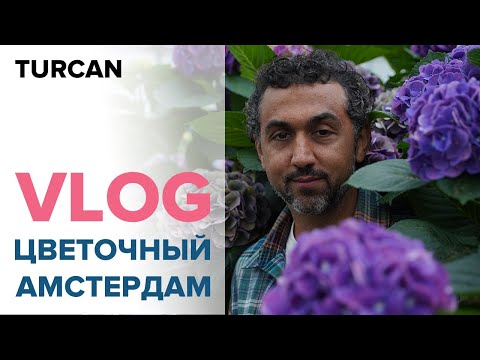 Видео: Нидерланды - центр цветочной индустрии | Мой цветочный показ |  VLOG. Часть 1.