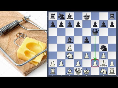 Видео: Шахматы. Примитивная ловушка черных. Шведский стол.