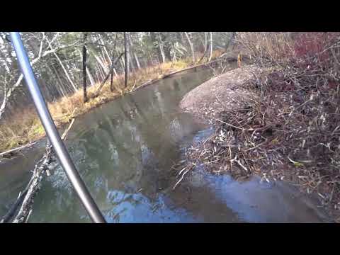 Видео: Ловля ХАРИУСА Осенью/ СЕКРЕТНАЯ  Речка в ТАЙГЕ/ бешенный КЛЁВ на УДОЧКУ!!!