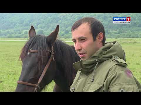 Видео: "Быть хозяином на земле"