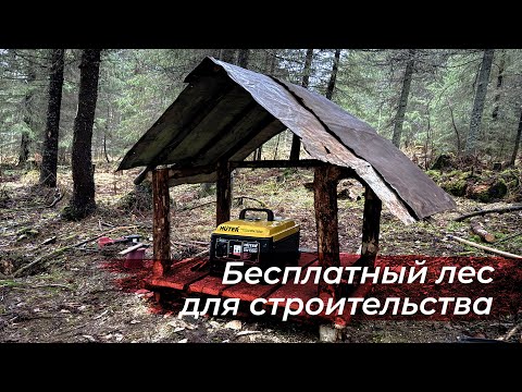 Видео: Бесплатный материал в лесу.  Будка для генератора из валежника