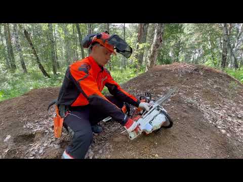 Видео: Легкая профи пила, обзор на STIHL MS 241-CM