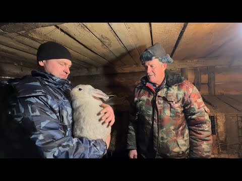 Видео: РОДНОЙ КРАЙ .❤️ЗНАКОМСТВО С РОДИТЕЛЯМИ/ОБЗОР ДОМА/УЖИН В КРУГУ СЕМЬИ/  ЭКСКУРСИЯ ПО ДЕРЕВНЕ