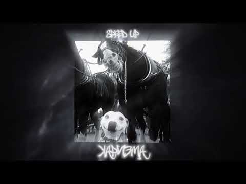 Видео: Харизма / speed up / Полиграф ШарикOFF