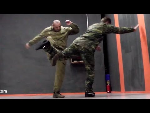 Видео: Связка комбинаций. Работа на скорости. Пластунский рукопашный бой, система боя Леонид Полежаев.