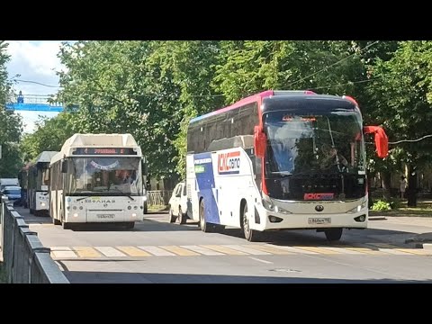 Видео: Общественный транспорт в городе великий Новгород, 26 июня 2024