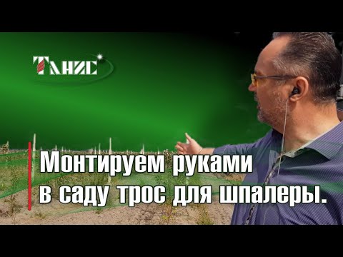 Видео: 18. Реальный монтаж троса для шпалеры марки ПРШ в яблоневом саду.  Никаких коушей, зажимов, талрепов