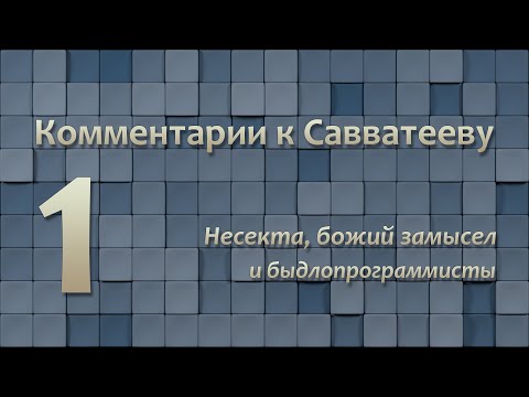 Видео: Комментарии к Савватееву 1: Несекта, божий замысел и быдлопрограммисты