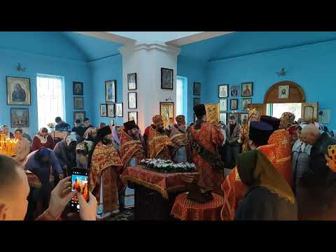 Видео: Літургія на Престольне свято Дмитрівського храму с. Прищепівка